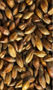 Brown Malt (Simpsons)