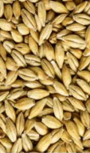 Dextrin Malt (Simpsons)
