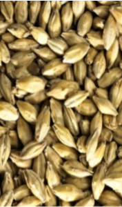 Finest Lager Malt (Simpsons)