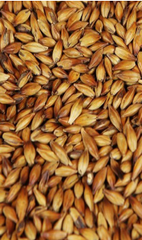 CaraMunich 3 (Weyermann)