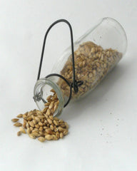This base malt is the go to grain for many beers and provides the sugars needed for yeast to have a feast.